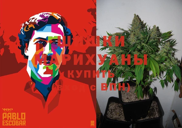 спиды Белокуриха