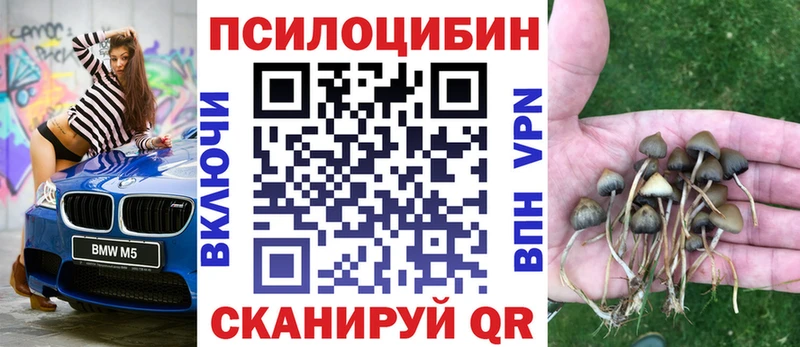 хочу   Белореченск  Псилоцибиновые грибы мухоморы 